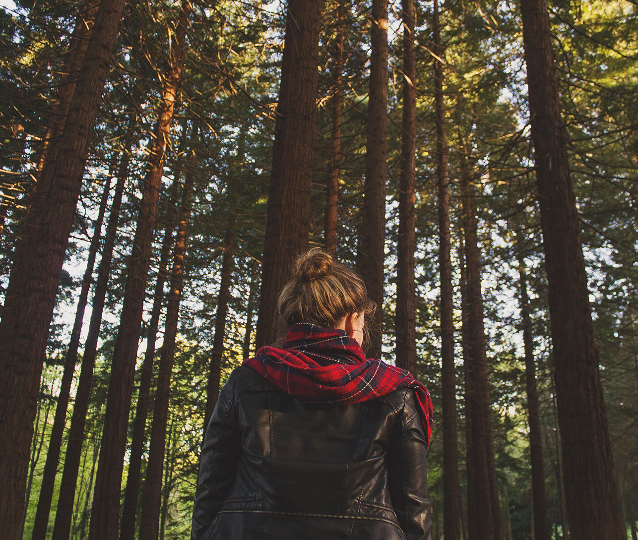 Fear, Dread & Anxiety: The Buddha in the Forest